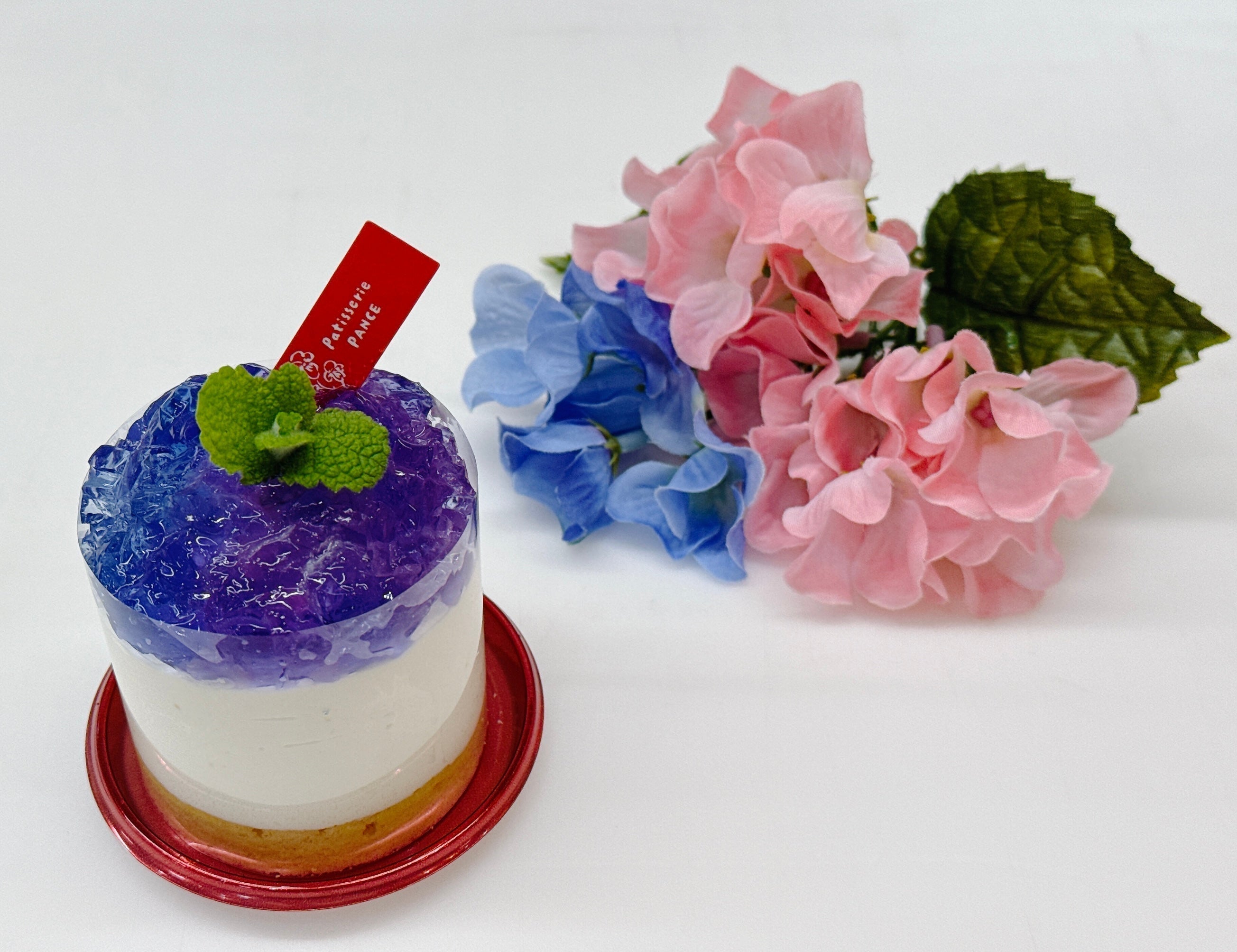 パンセ通信 2025.6月号 VOL.201