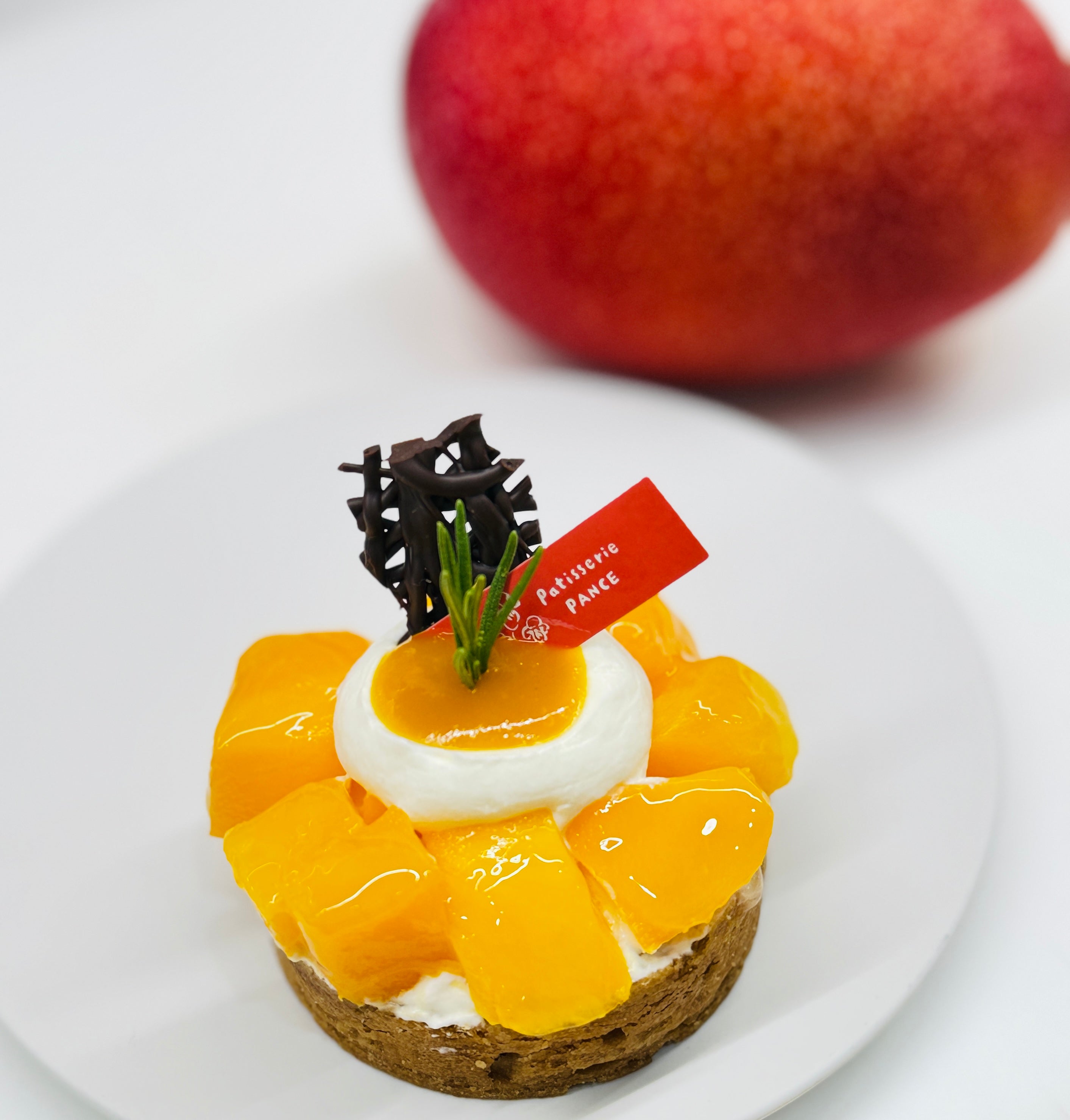 パンセ通信 2025.7月号 VOL.202