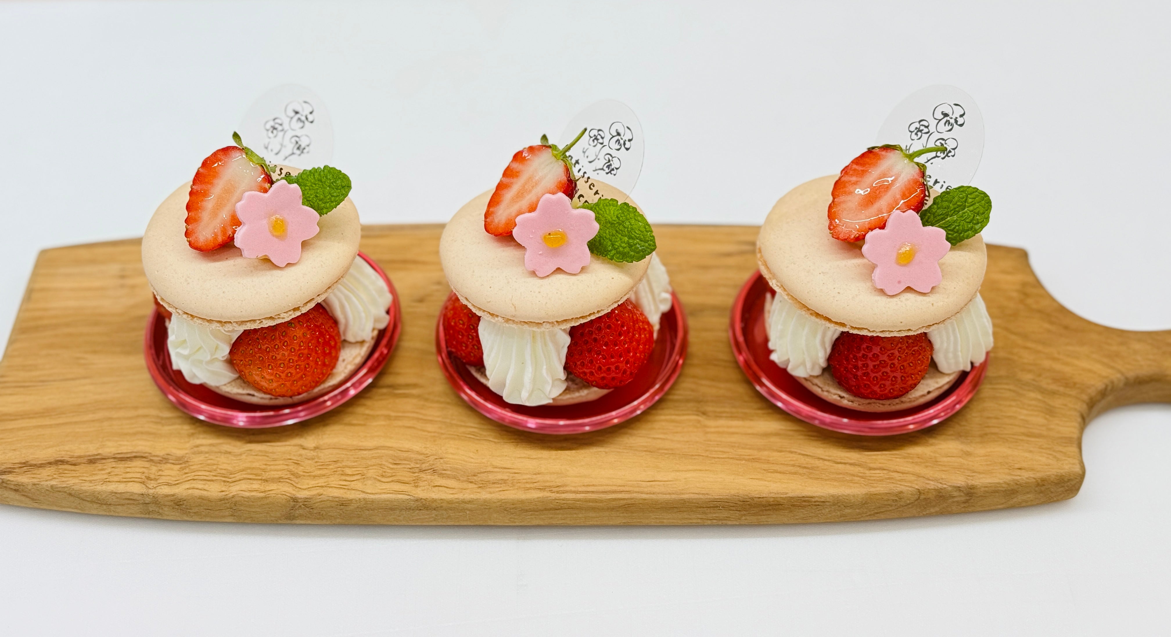 パンセ通信 2025.4月号 VOL.199