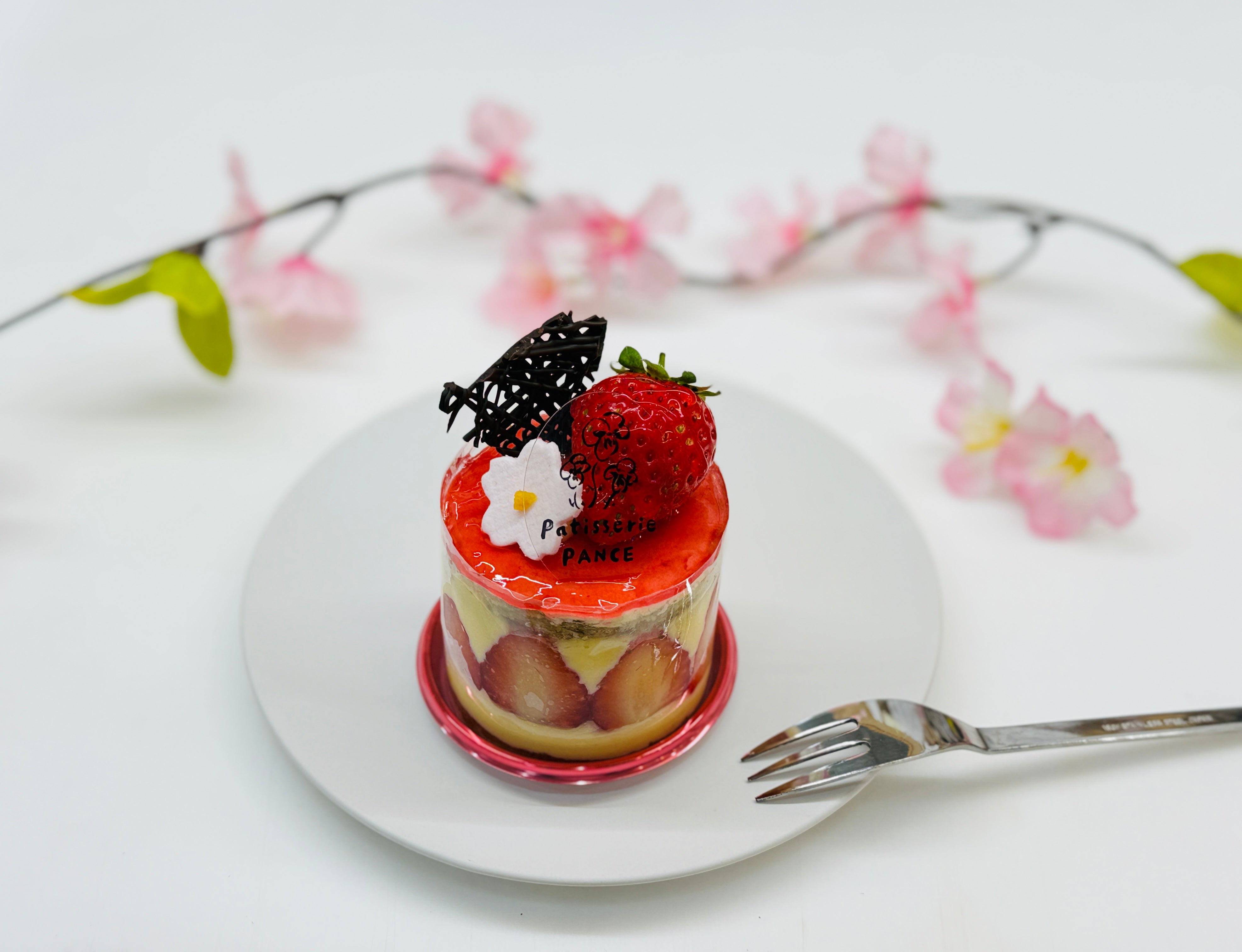 パンセ通信 3月号 VOL.210